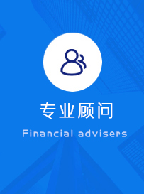 内资有限公司